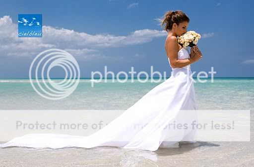 wedding photographers